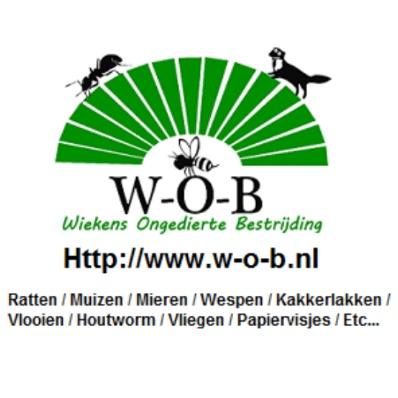 Mijnzzp.nl van, voor en door zzp-ers Mijnzzp.nl van, voor en door zzp-ers