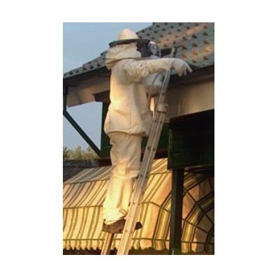 Ongediertebestrijding Zandvliet