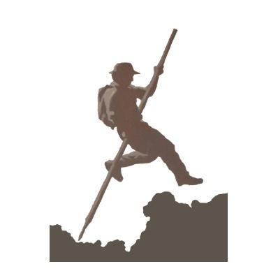 Mastboom.pro - Coaching met impact