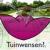 Ellen Snel Tuinontwerpen