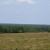 Natuur