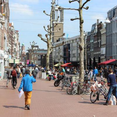 Mijnzzp.nl van, voor en door zzp-ers