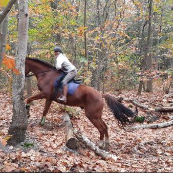 Mijnzzp.nl van, voor en door zzp-ers