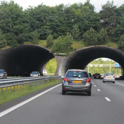 Mijnzzp.nl van, voor en door zzp-ers