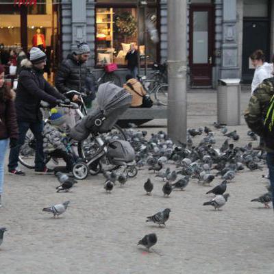 Mijnzzp.nl van, voor en door zzp-ers