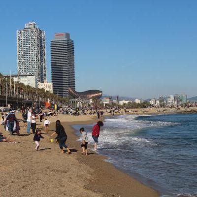 Mijnzzp.nl van, voor en door zzp-ers