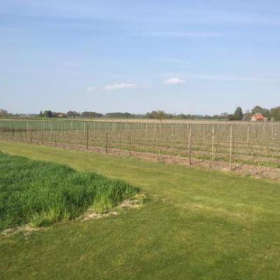 Mijnzzp.nl van, voor en door zzp-ers