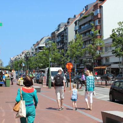 Mijnzzp.nl van, voor en door zzp-ers