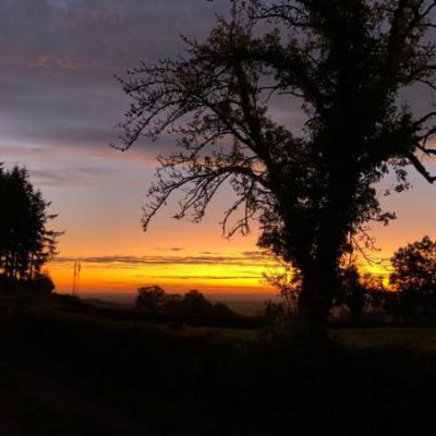 Mijnzzp.nl van, voor en door zzp-ers