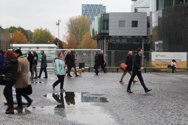Staatssecretaris Wiebes schorst omstreden zzp-wet tot 1 juli 2018