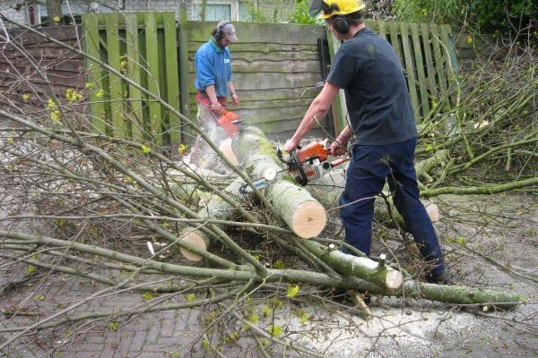 Ook Europa wil maatregelen voor zzp-ers