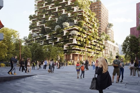 Wonderwoods Wonderwoods