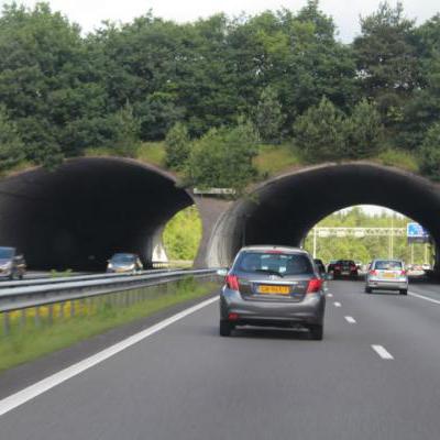 Mijnzzp.nl van, voor en door zzp-ers