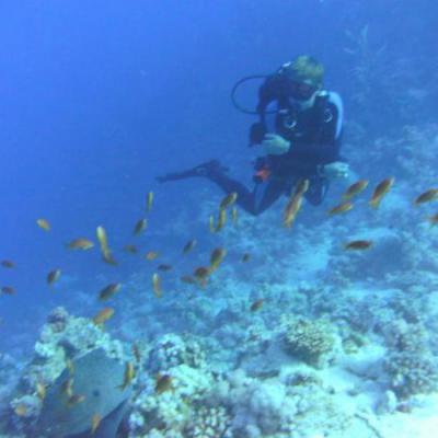 Mijnzzp.nl van, voor en door zzp-ers Mijnzzp.nl van, voor en door zzp-ers