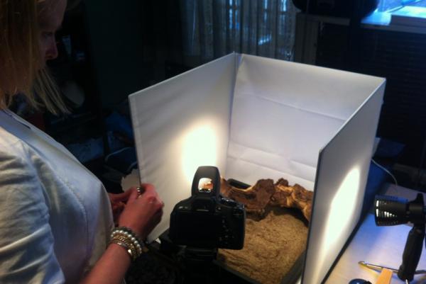 Webshop vullen met artikelen