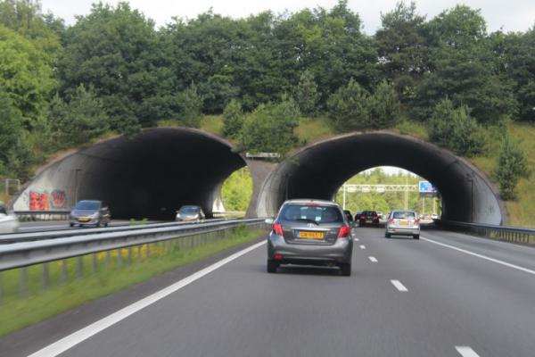 Auto op snelweg