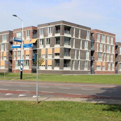 Mijnzzp.nl van, voor en door zzp-ers