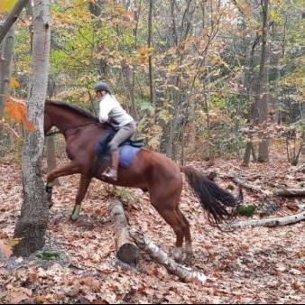 Mijnzzp.nl van, voor en door zzp-ers