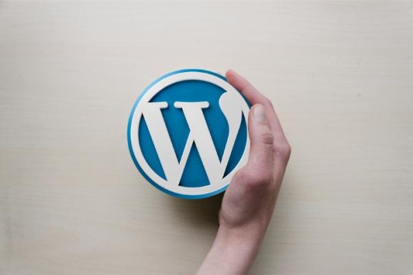 Succesvolle WordPress website onderhouden