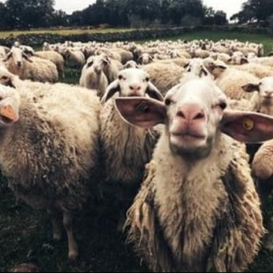 Mijnzzp.nl van, voor en door zzp-ers