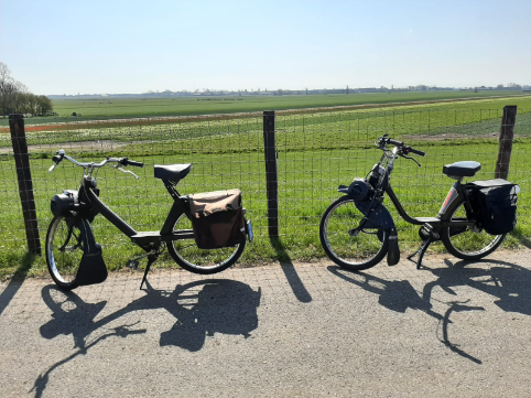 Afbeelding van solexverhuur nieuwkoop