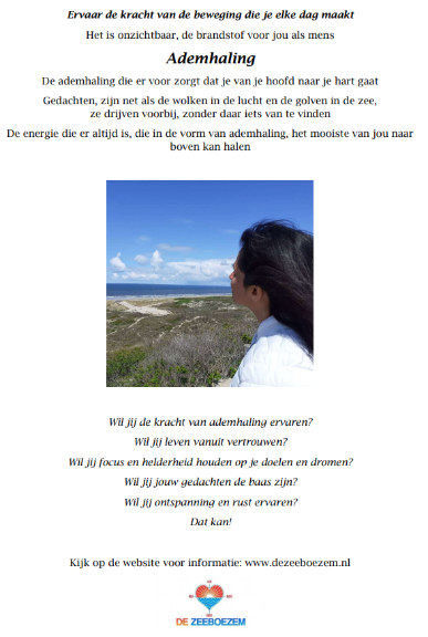 Afbeelding van De Zeeboezem