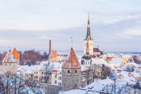 Informatie voor ondernemers die willen zakendoen in Estland