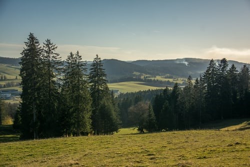 Natuur