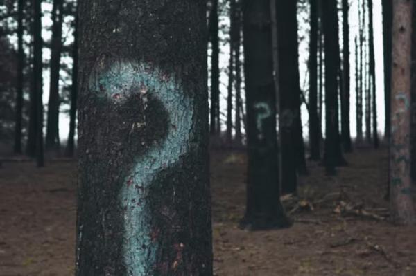 Hoe kies je het juiste boekhoudprogramma?