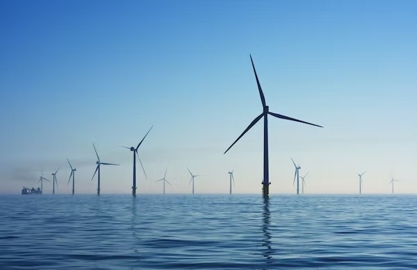 Ecologische voetafdruk Ecologische voetafdruk