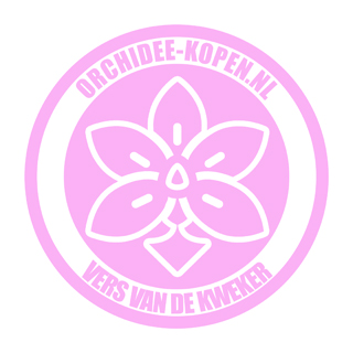 Mijnzzp.nl van, voor en door zzp-ers Mijnzzp.nl van, voor en door zzp-ers