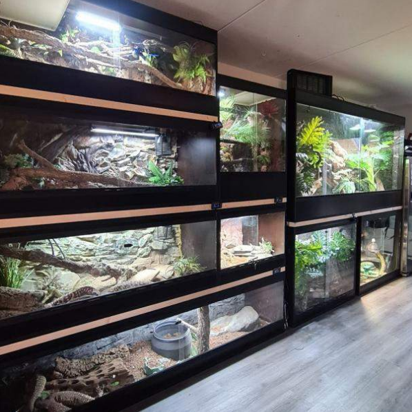 Afbeelding van Reptiles Twente