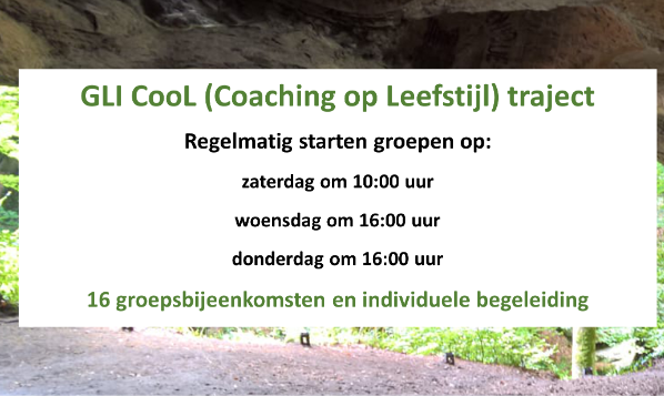 Afbeelding van Inlijn leefstijlcoaching