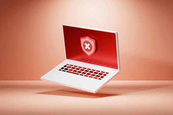 Cybercriminaliteit Cybercriminaliteit