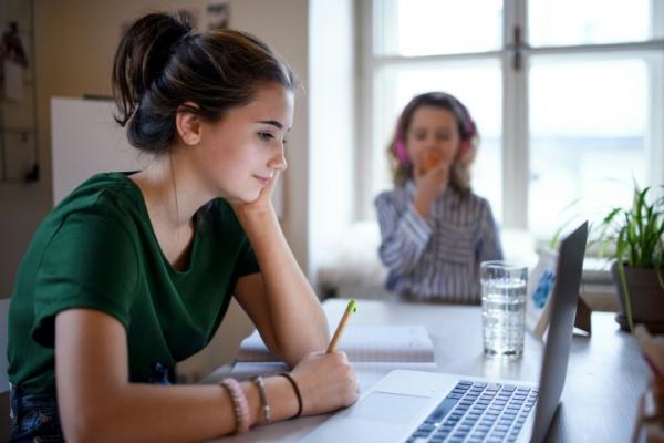 Vrouw en computer Vrouw en computer