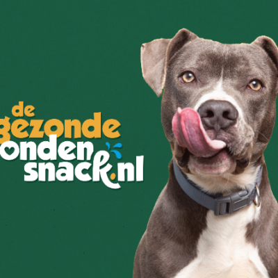 Mijnzzp.nl van, voor en door zzp-ers Mijnzzp.nl van, voor en door zzp-ers