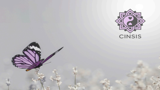 Afbeelding van Cinsis Mineralen Spiritualiteit Orgonite Sieraden