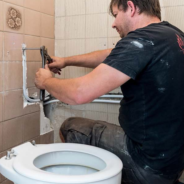 Afbeelding van Haagse Loodgieter