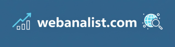 Afbeelding van Webanalist