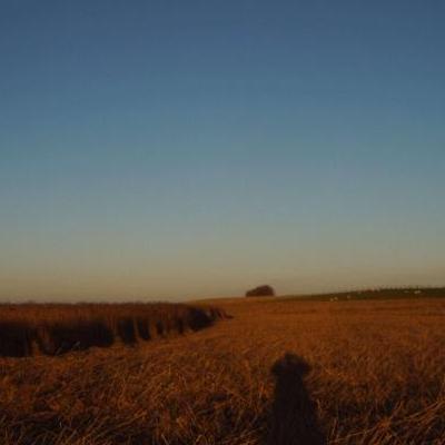 Ondernemers IN NOORD NEDERLAND...