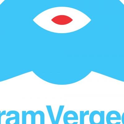 Bram Vergeer