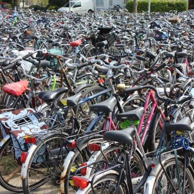 Veel fietsen