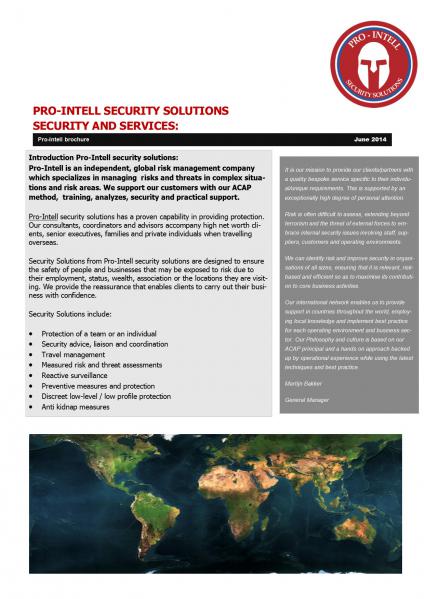 Afbeelding van Pro-Intell security solutions