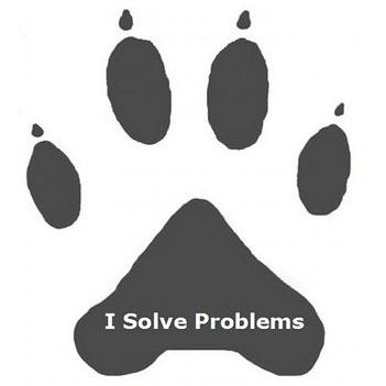 I Solve Problems