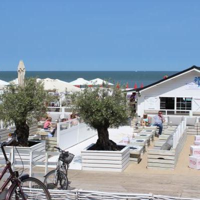 Mijnzzp.nl van, voor en door zzp-ers