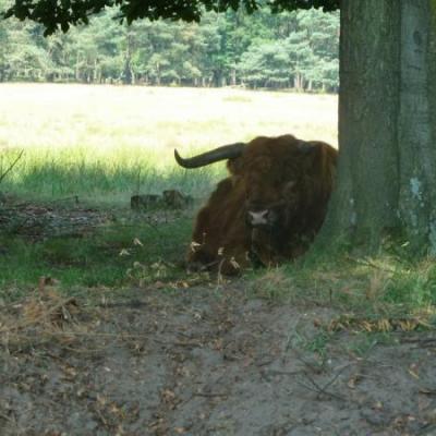 Mijnzzp.nl van, voor en door zzp-ers